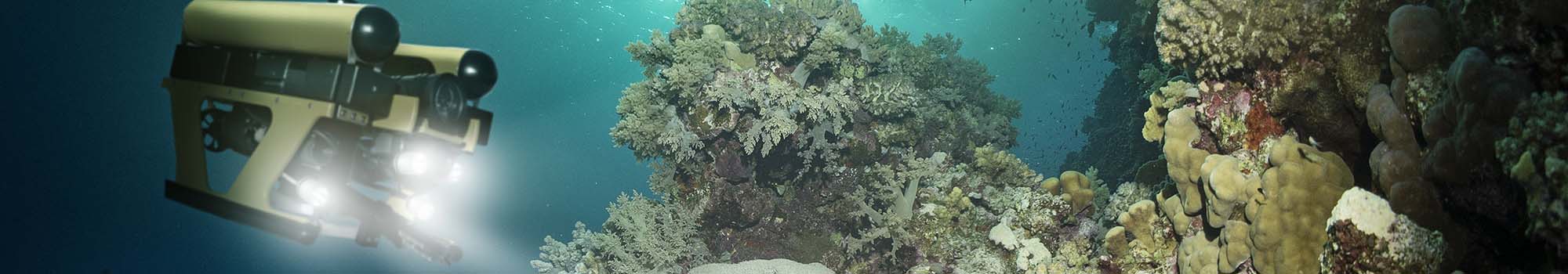 Subsea_2000x350